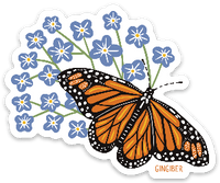 Summer Butterfly Sticker