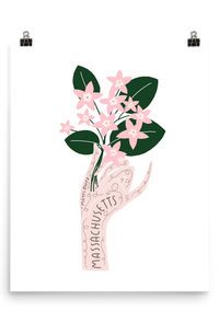 PREORDER Massachusetts State Flower Print (ships 2/14/25)