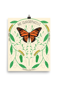 PREORDER Metamorphosis Print (ships 2/14/25)