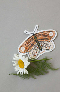 Butterfly Sticker