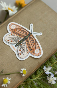 Butterfly Sticker