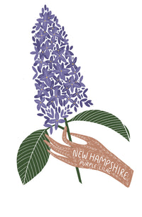 New Hampshire State Flower Print